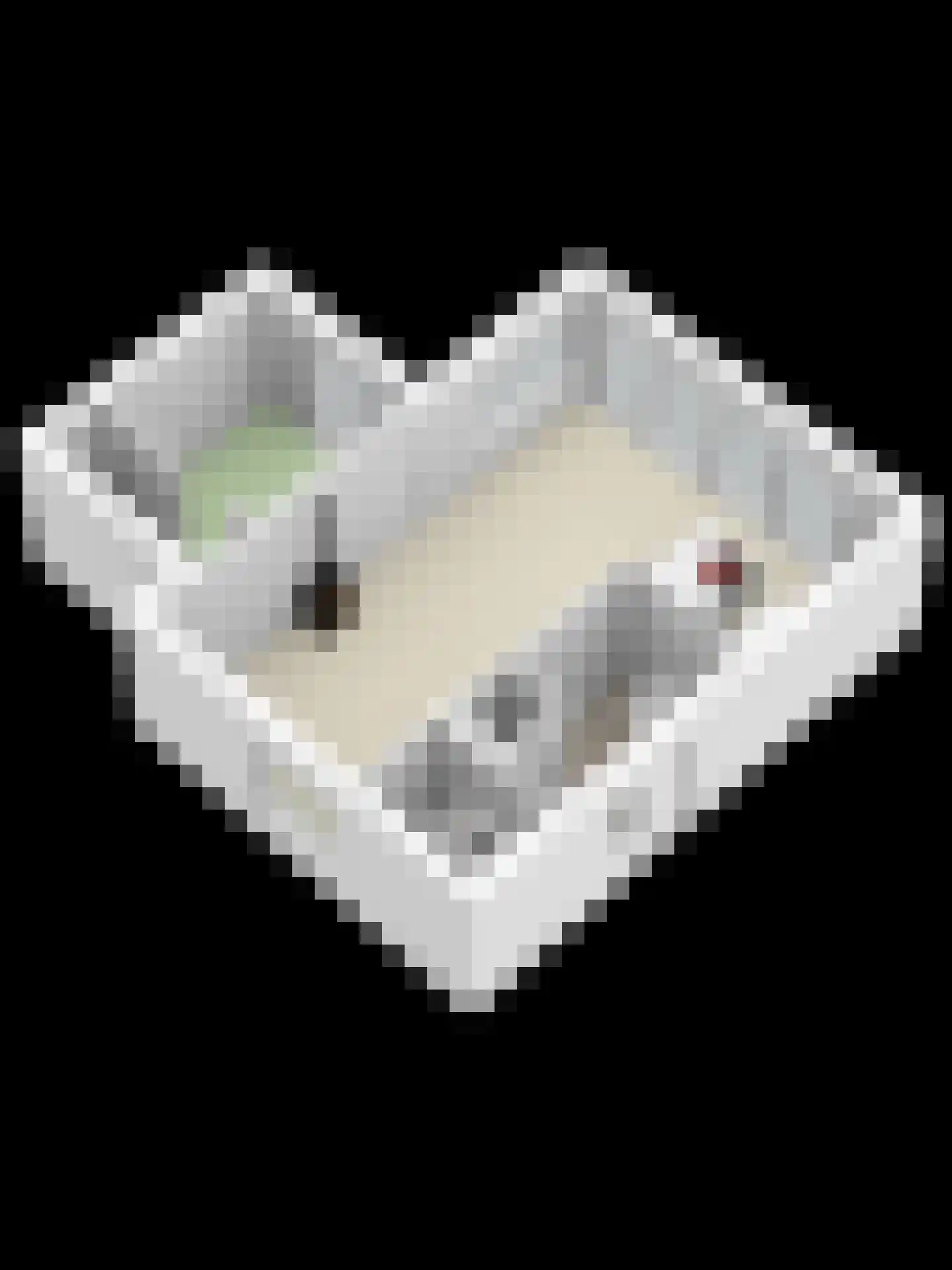 Ridderstee 202 Ouddorp thumbnail 45