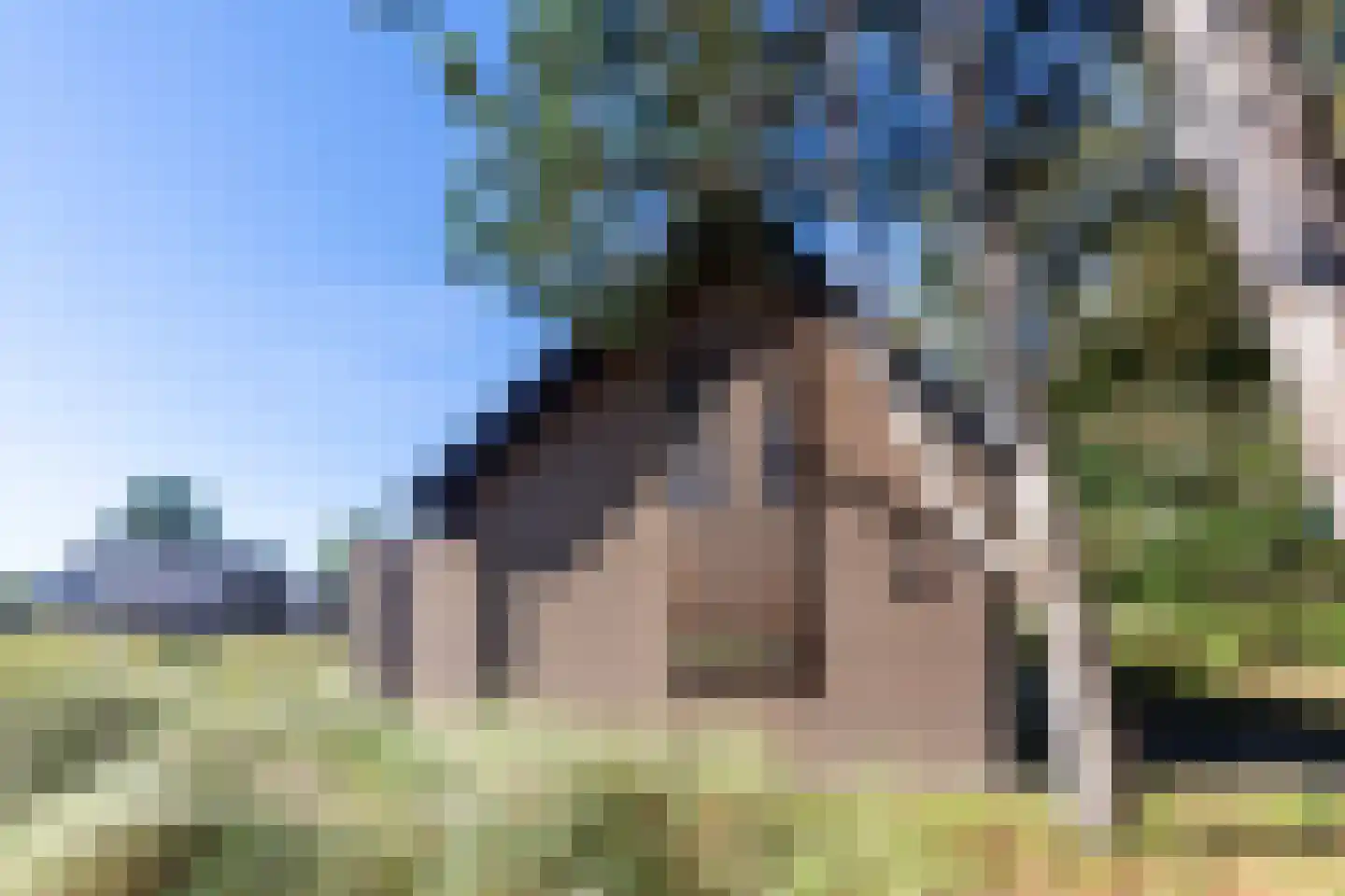Ridderstee 203 Ouddorp thumbnail 30