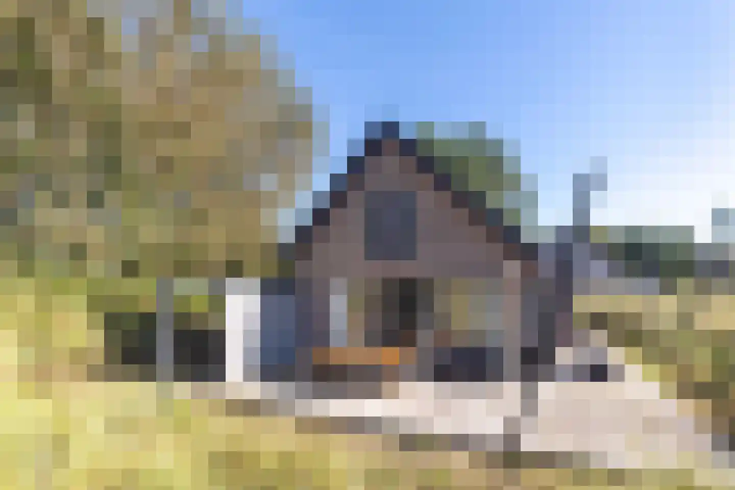Ridderstee 203 Ouddorp thumbnail 33