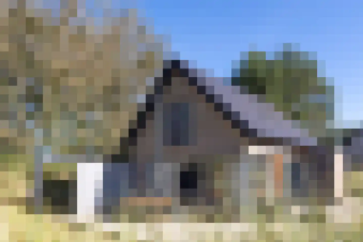 Ridderstee 203 Ouddorp thumbnail 7