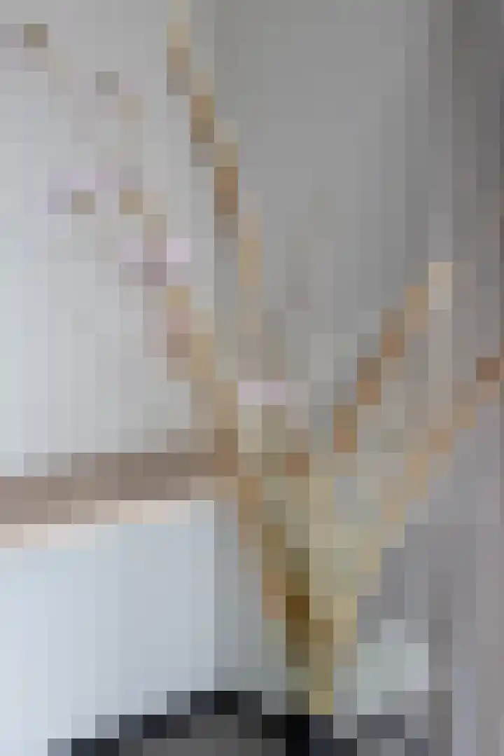 Ridderstee 245 Ouddorp thumbnail 12