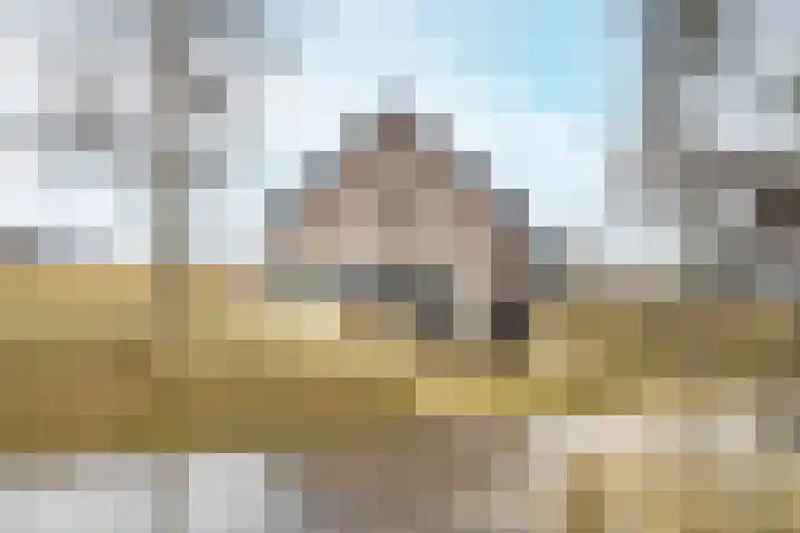 Ridderstee 245 Ouddorp thumbnail 31