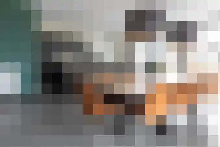 Ridderstee 245 Ouddorp thumbnail 8