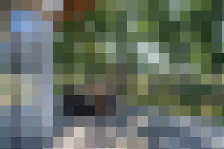 Ridderstee 246 Ouddorp thumbnail 34