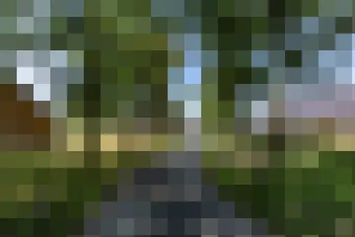 Ridderstee 246 Ouddorp thumbnail 36