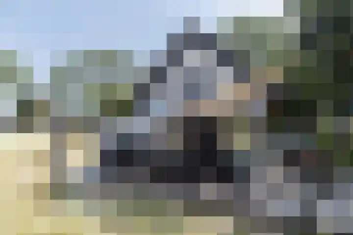 Ridderstee 246 Ouddorp thumbnail 5