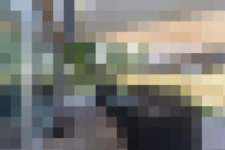 Ridderstee 246 Ouddorp thumbnail 6