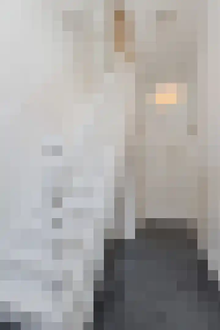 Ridderstraat 1 Culemborg thumbnail 15