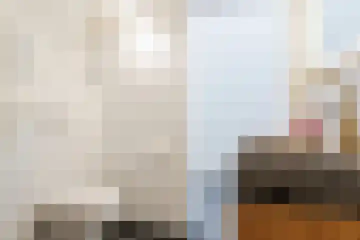 Ridderstraat 1 Culemborg thumbnail 25