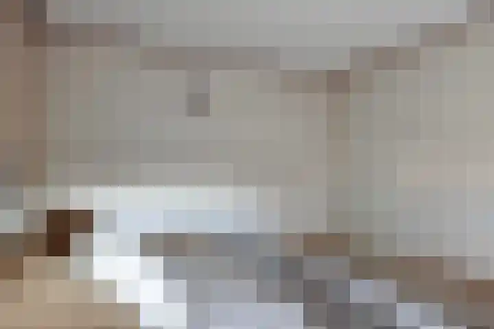 Ridderstraat 12 Wouw thumbnail 14
