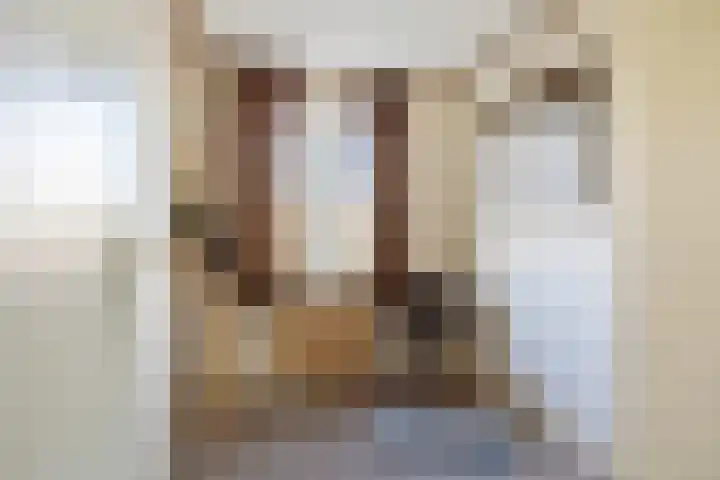 Ridderstraat 12 Wouw thumbnail 16
