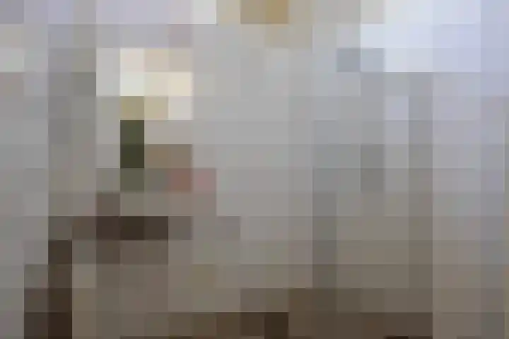 Ridderstraat 12 Wouw thumbnail 9