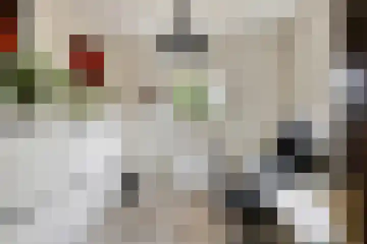 Ridderstraat 2 Woerden thumbnail 19