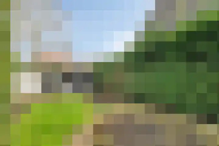 Ridderstraat 2 Woerden thumbnail 41
