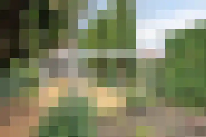 Ridderstraat 2 Woerden thumbnail 43