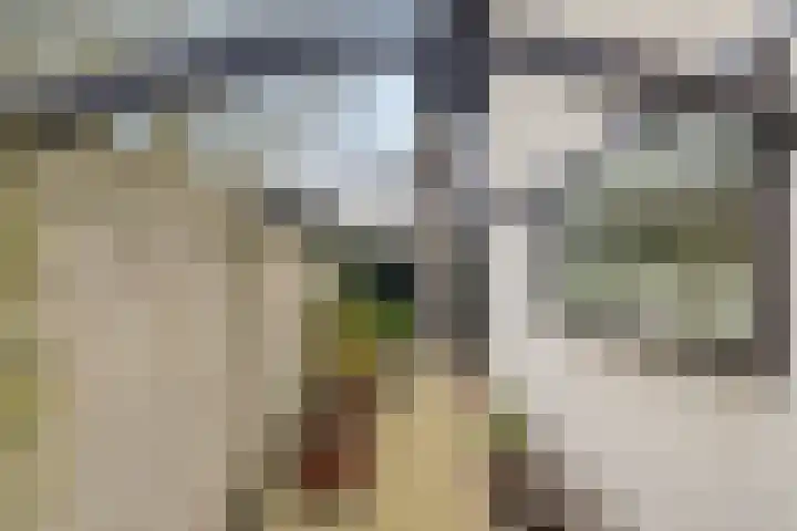 Ridderstraat 2 Woerden thumbnail 44