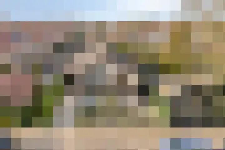 Ridderstraat 2 Woerden thumbnail 5