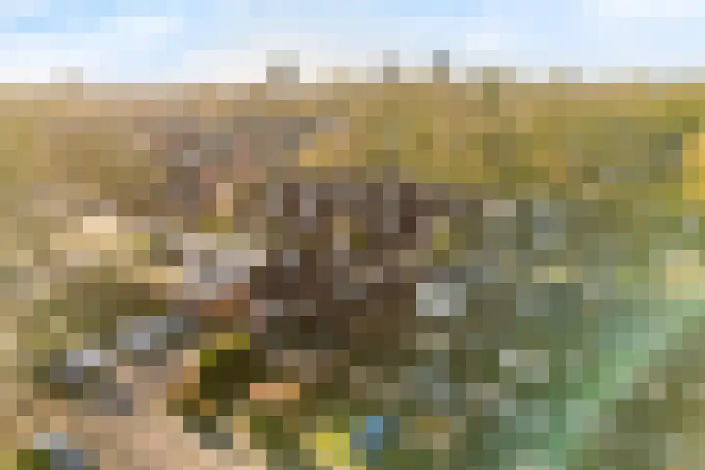Ridderstraat 32 Tilburg thumbnail 9