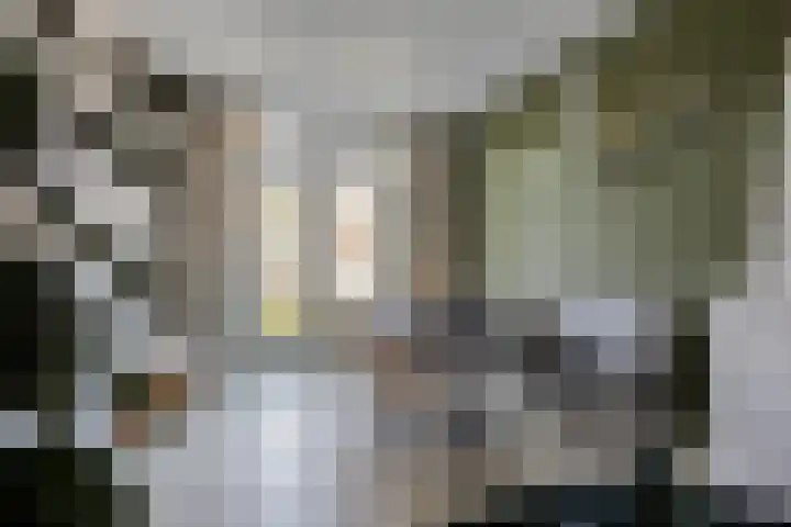 Ridderstraat 39 Oss thumbnail 12
