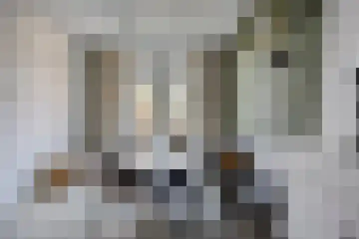Ridderstraat 39 Oss thumbnail 13