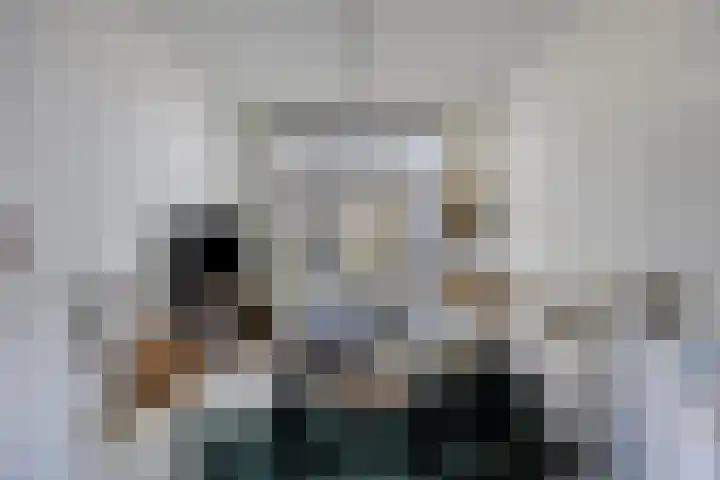 Ridderstraat 39 Oss thumbnail 15