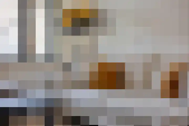 Ridderstraat 39 Oss thumbnail 16