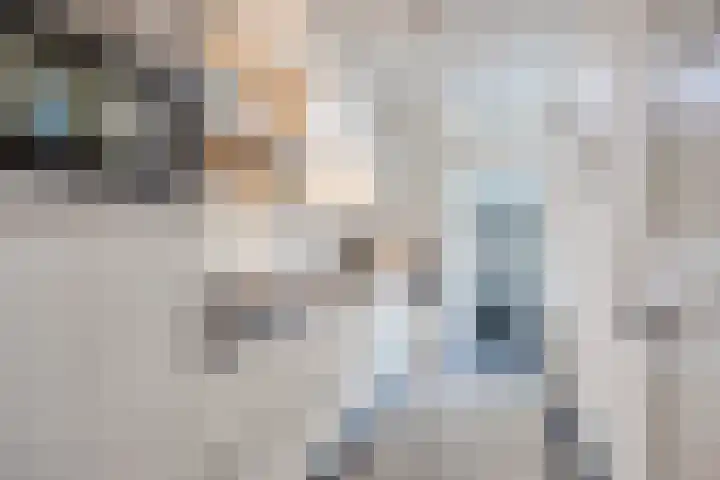 Ridderstraat 39 Oss thumbnail 18