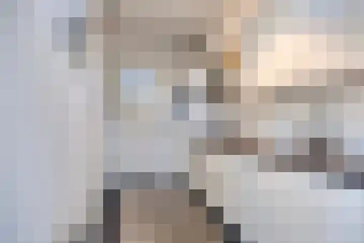 Ridderstraat 39 Oss thumbnail 20
