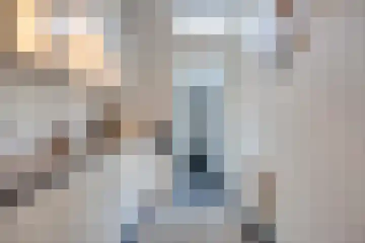 Ridderstraat 39 Oss thumbnail 21