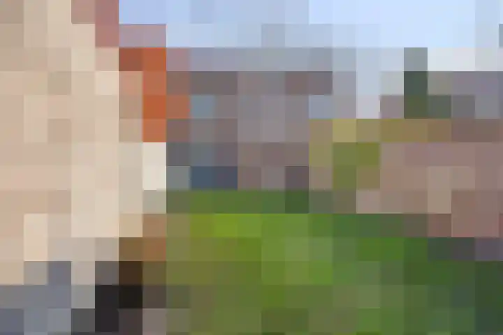 Ridderstraat 39 Oss thumbnail 27
