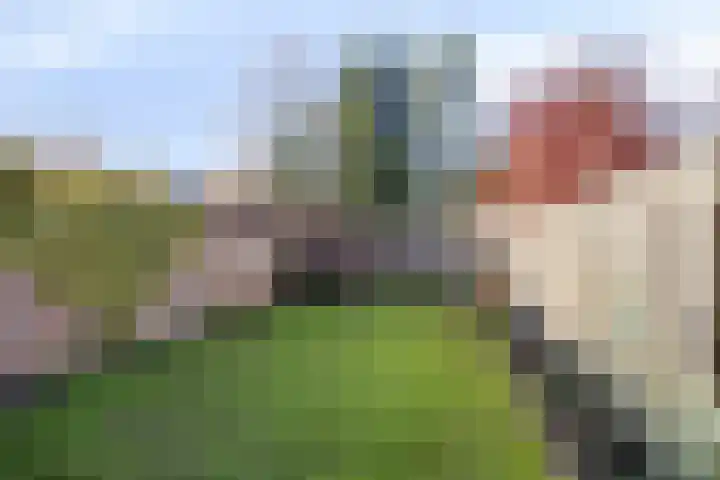 Ridderstraat 39 Oss thumbnail 28