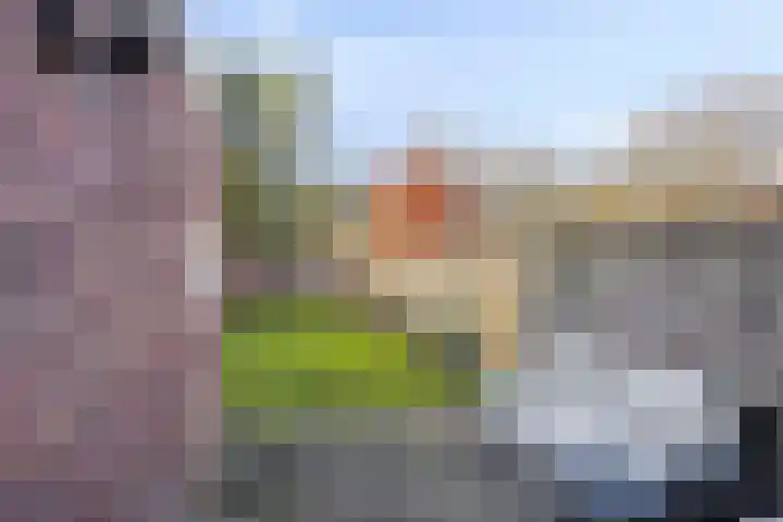 Ridderstraat 39 Oss thumbnail 29