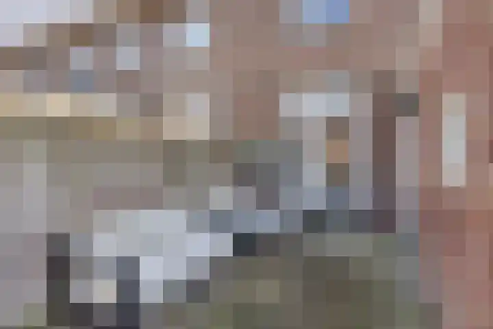 Ridderstraat 39 Oss thumbnail 30