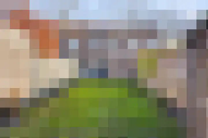Ridderstraat 39 Oss thumbnail 31