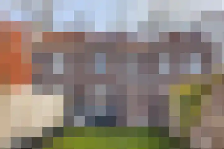 Ridderstraat 39 Oss thumbnail 32