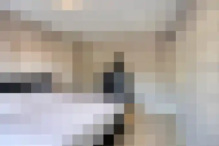 Ridderstraat 39 Oss thumbnail 35