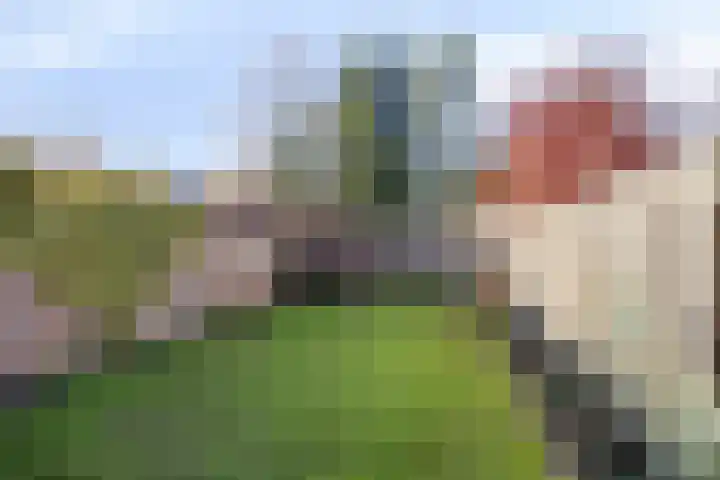 Ridderstraat 39 Oss thumbnail 4