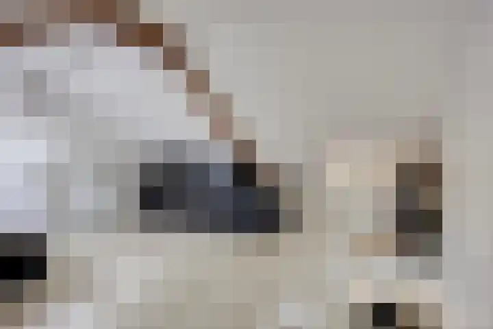 Ridderstraat 39 Oss thumbnail 43