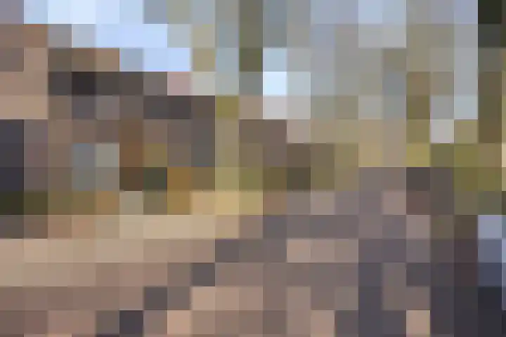 Ridderstraat 39 Oss thumbnail 48