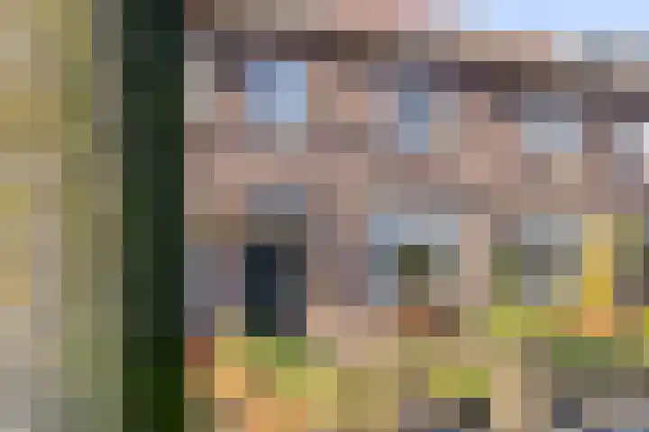 Ridderstraat 39 Oss thumbnail 5