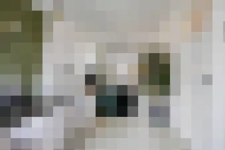 Ridderstraat 39 Oss thumbnail 8