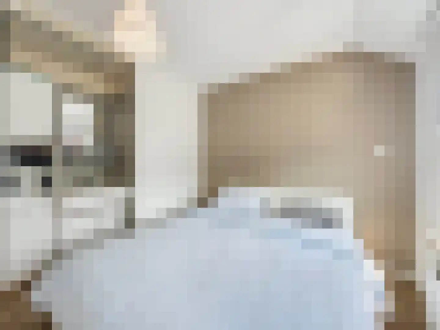 Ridderstraat 45 Sluis thumbnail 17