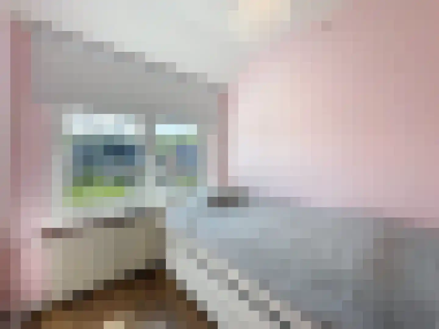 Ridderstraat 45 Sluis thumbnail 22