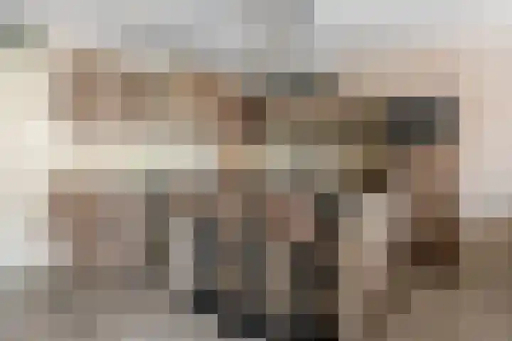 Ridderstraat 8 Etten-Leur thumbnail 10