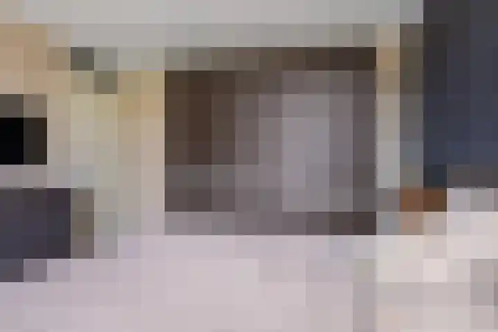 Ridderstraat 8 Etten-Leur thumbnail 27