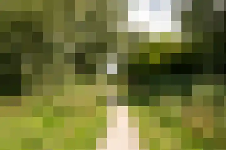 Rie Cramerstraat 16 Amstelveen thumbnail 37