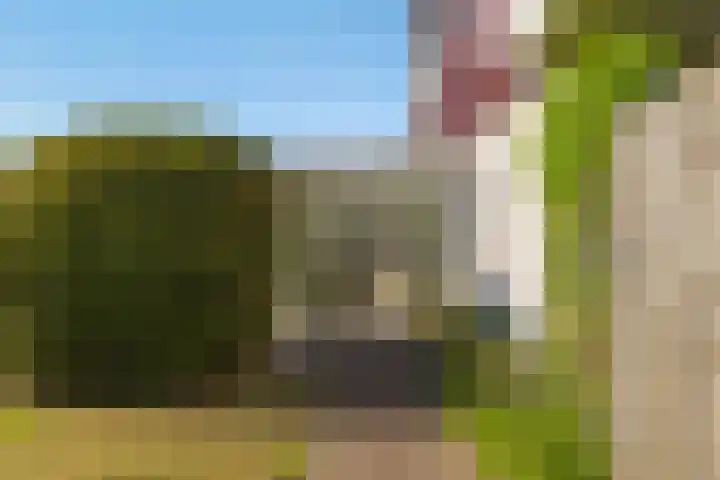 Ried 18 Leeuwarden thumbnail 24