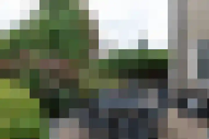 Ried 18 Leeuwarden thumbnail 25