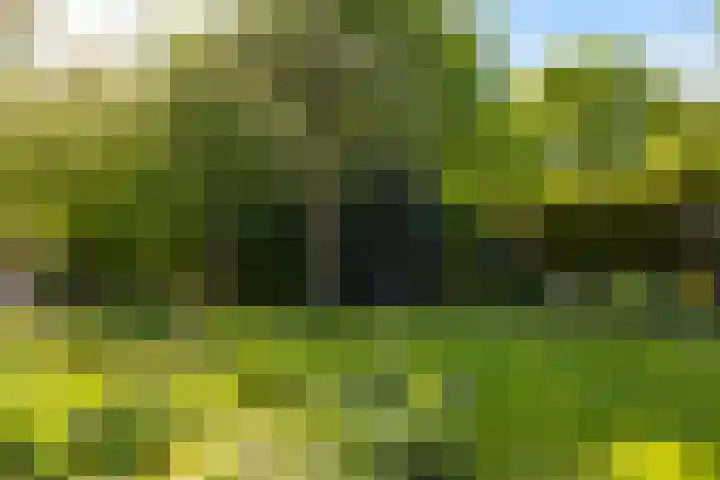 Ried 18 Leeuwarden thumbnail 31