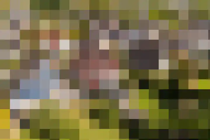 Ried 18 Leeuwarden thumbnail 63